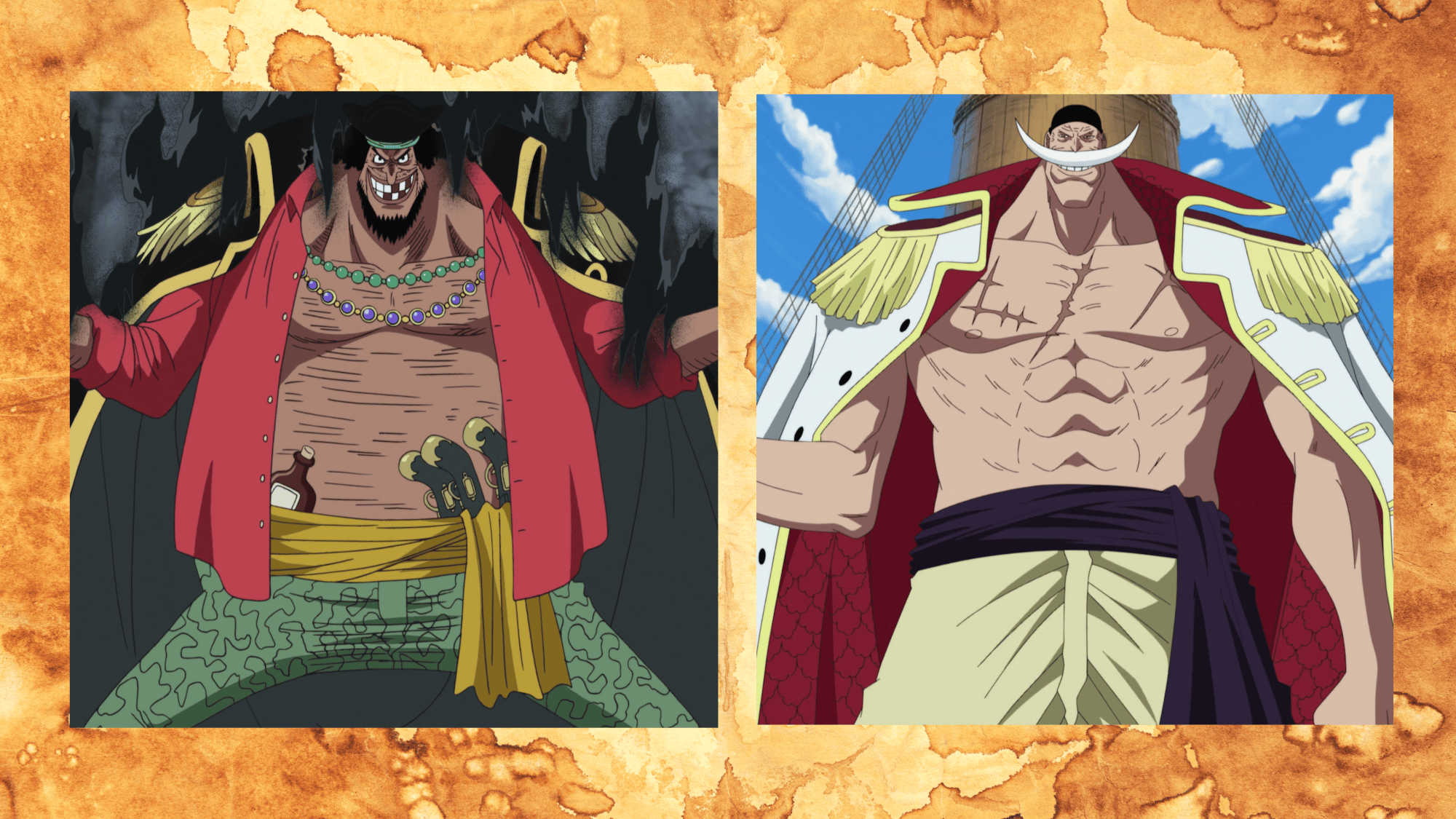 One Piece Characters Based on Real Pirates – Tidewater Teddy