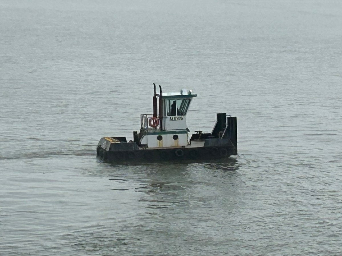 Baby Tugboat Helps Her Mother