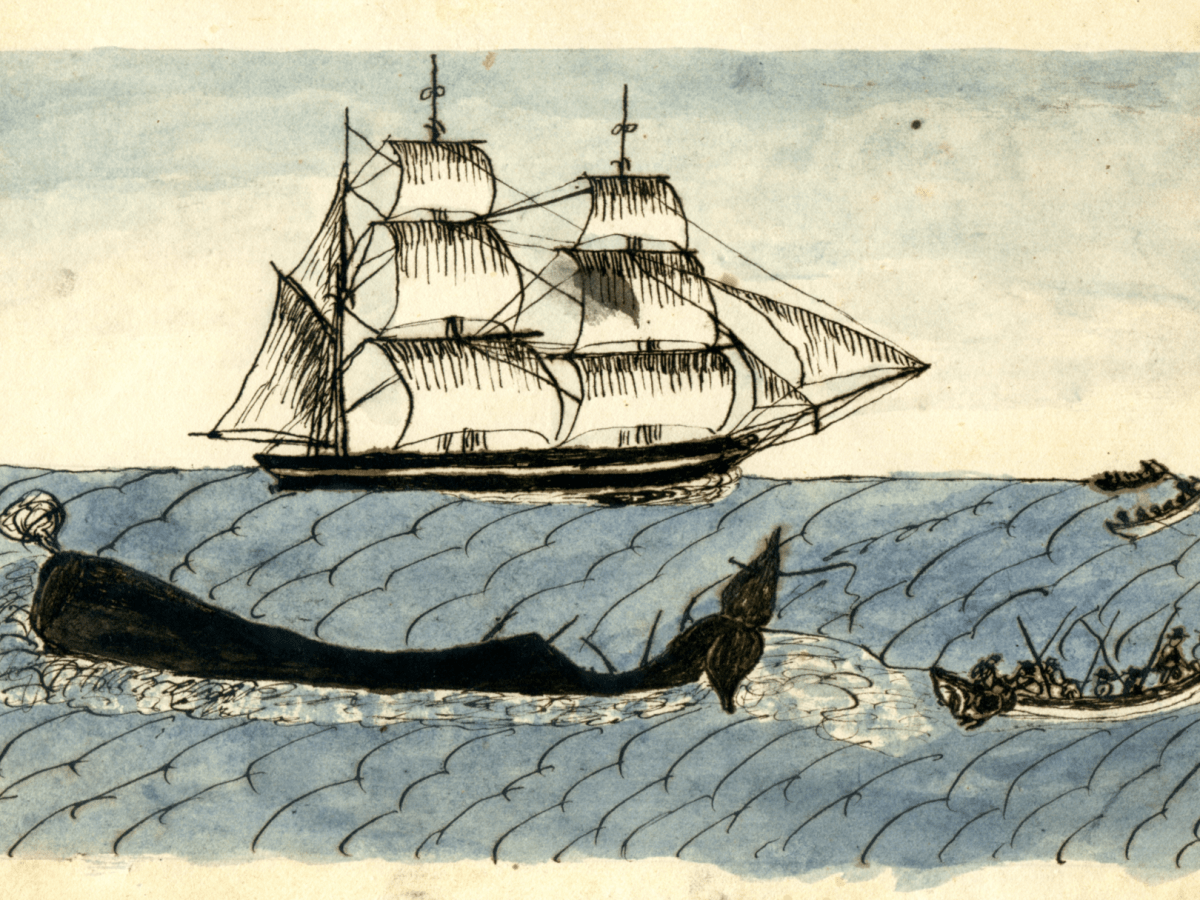 How Whaling Empowered African Americans Before the Civil War