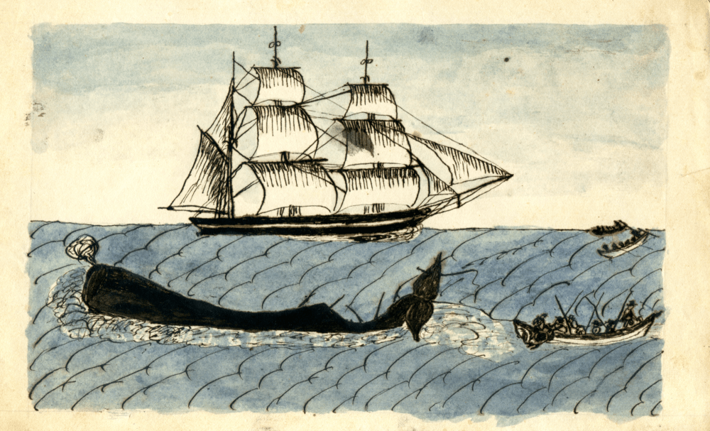 How Whaling Empowered African Americans Before the Civil War