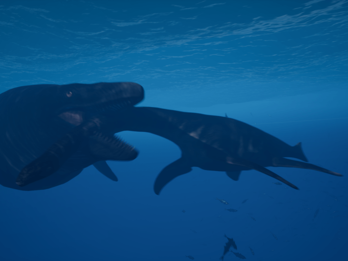 Mosasaurus & Zarafasaura: Morocco 66 Million Years Ago